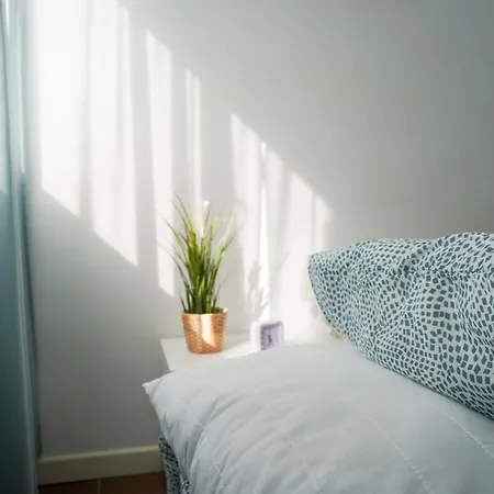 Apartment Modern House In *