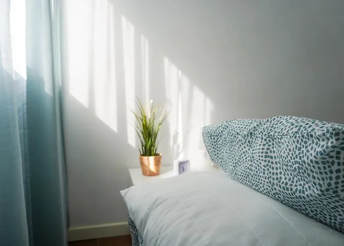 Daire Modern House In *